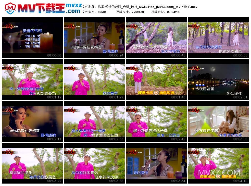 陈雷-爱情的苦酒_台语_流行_MC504147